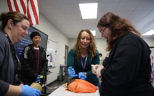 Health occupations teacher Mary Zippe and Deanna Johannsen, an associate professor and clinical coordinator of respiratory care for Southeastern Community College, show students the differences between healthy and diseased lungs April 19, 2024, in the newly renovated health science wing of Burlington High School.