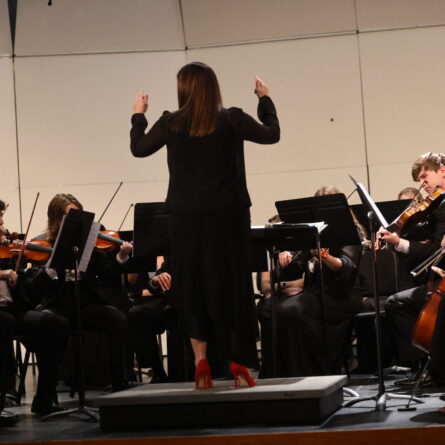 BCSD has more than 12 music ensembles, including several bands and choirs. 