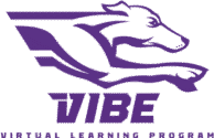 VIBE Virtual Learning Program