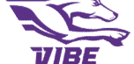 VIBE Virtual Learning Program