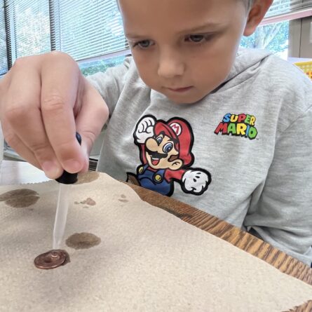 BCSD exposes students to STEM as early as kindergarten. STEM is included in the specials rotation, building a solid foundation for advanced STEM classes in middle and high school. 